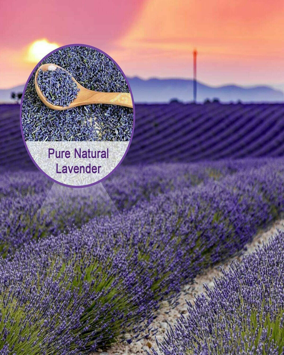 18 Pack Lavender Sachets Bag Dried Flower Sachet for Home Fragrance Bags